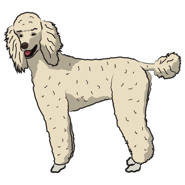 Amistad 7 x 20 in. Super Cute Dog Decal - Standard Poodle - AM2679669