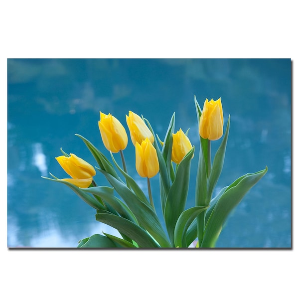 Trademark Fine Art Martha Guerra 'Yellow Tulip Bouquet' Canvas Art, 16x24 - MG0202-C1624GG