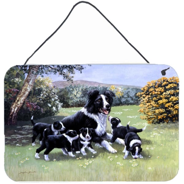 Carolines Treasures Border Collie Puppies with Momma Wall or Door Hanging Prints - BDBA0257DS812