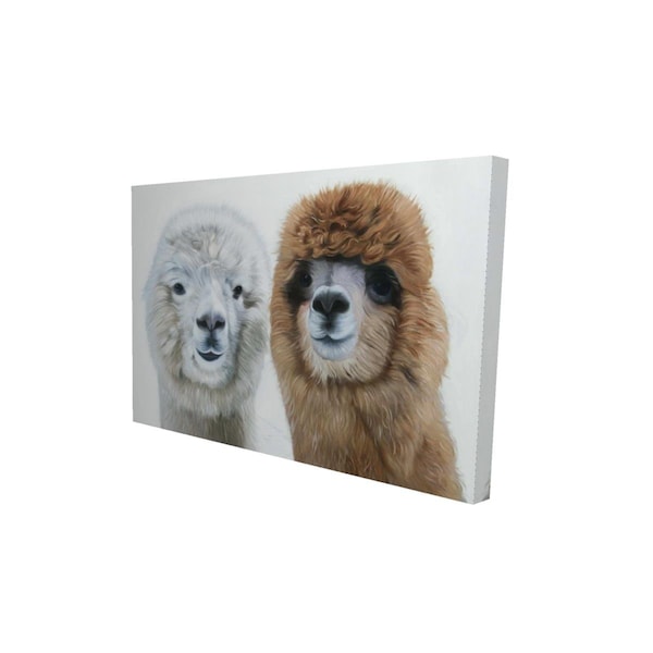 Fondo 20 x 30 in. Two Lamas-Print on Canvas - FO2791240