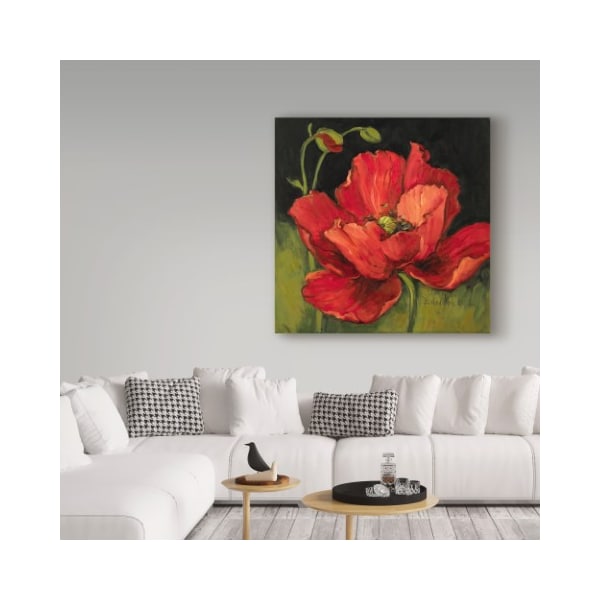 Trademark Fine Art Barbara Mock ' Poppy Blossom' Canvas Art, 18x18 - ALI39104-C1818GG