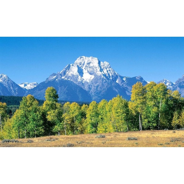 Biggies Scenes Window Well Scenes-Mountain, 100 in wide x 60 in high - BG-WW-MTN-100