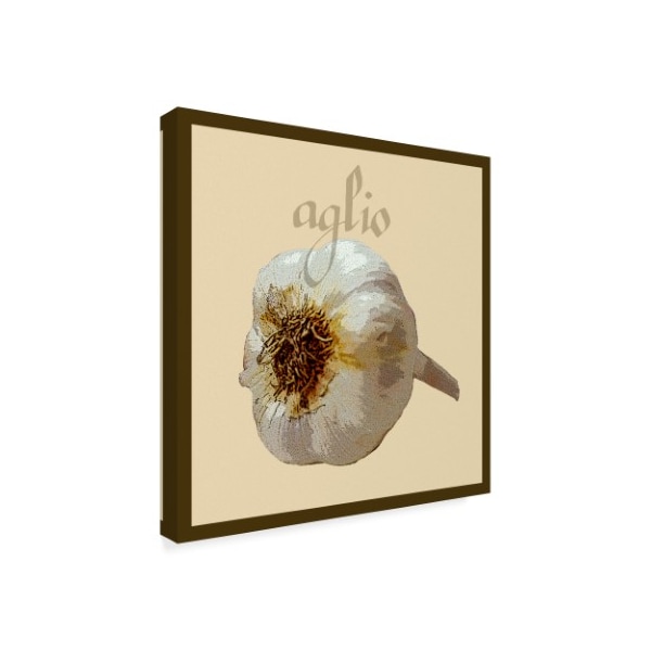 Trademark Fine Art Vision Studio 'Italian Vegetable Iii' Canvas Art, 35x35 - WAG01515-C3535GG
