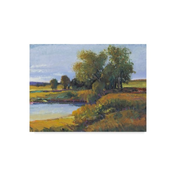 Trademark Fine Art Tim Otoole 'Trees Reflection I' Canvas Art, 14x19 - WAG01913-C1419GG