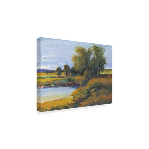 Trademark Fine Art Tim Otoole 'Trees Reflection I' Canvas Art, 14x19 - WAG01913-C1419GG