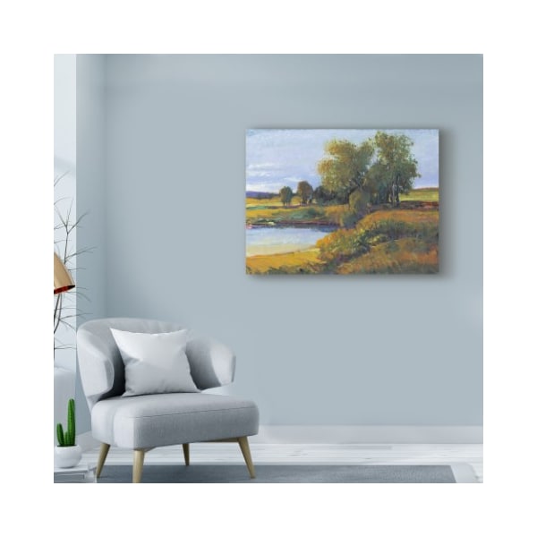 Trademark Fine Art Tim Otoole 'Trees Reflection I' Canvas Art, 14x19 - WAG01913-C1419GG