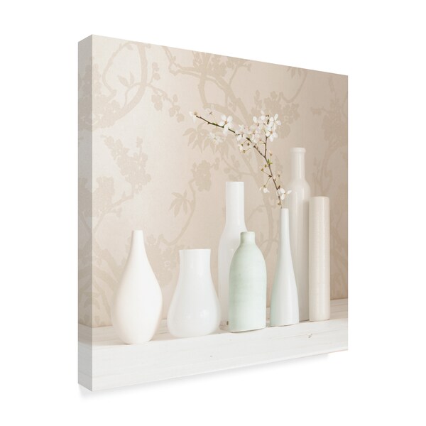 Trademark Fine Art Tom Quartermaine 'Blossom And White Vases Still Life' Canvas Art, 14x14 - ALI42370-C1414GG