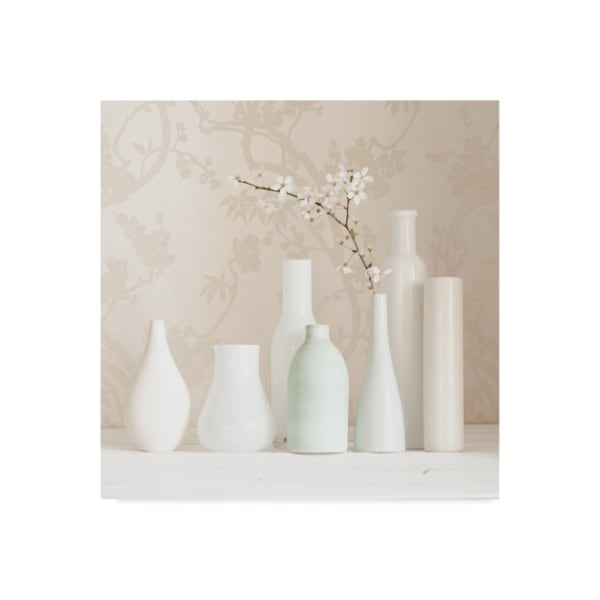 Trademark Fine Art Tom Quartermaine 'Blossom And White Vases Still Life' Canvas Art, 14x14 - ALI42370-C1414GG
