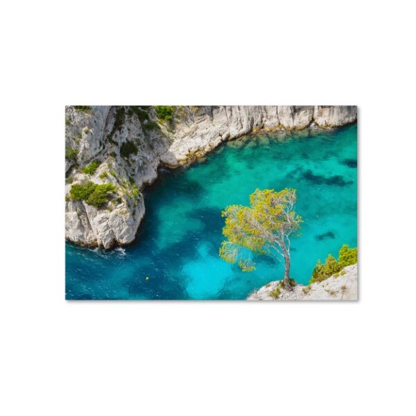 Trademark Fine Art Michael Blanchette Photography 'Turquoise Waters' Canvas Art, 16x24 - ALI3836-C1624GG