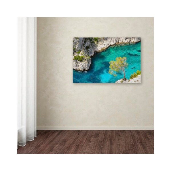 Trademark Fine Art Michael Blanchette Photography 'Turquoise Waters' Canvas Art, 16x24 - ALI3836-C1624GG