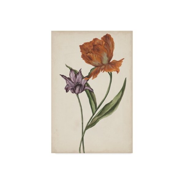 Trademark Fine Art Melissa Wang 'Two Tulips Ii' Canvas Art, 12x19 - WAG08587-C1219GG