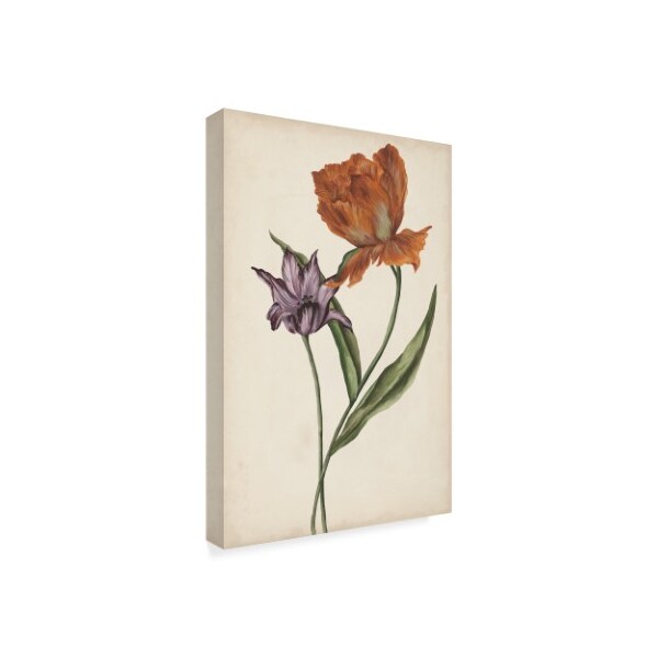 Trademark Fine Art Melissa Wang 'Two Tulips Ii' Canvas Art, 12x19 - WAG08587-C1219GG
