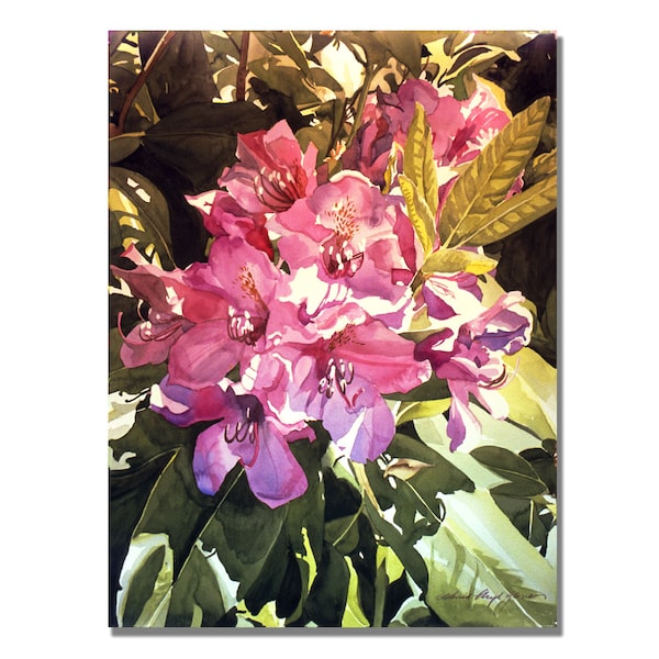 Trademark Fine Art David Lloyd Glover 'Royal Rhododendrons' Canvas Art, 18x24 - DLG0194-C1824GG