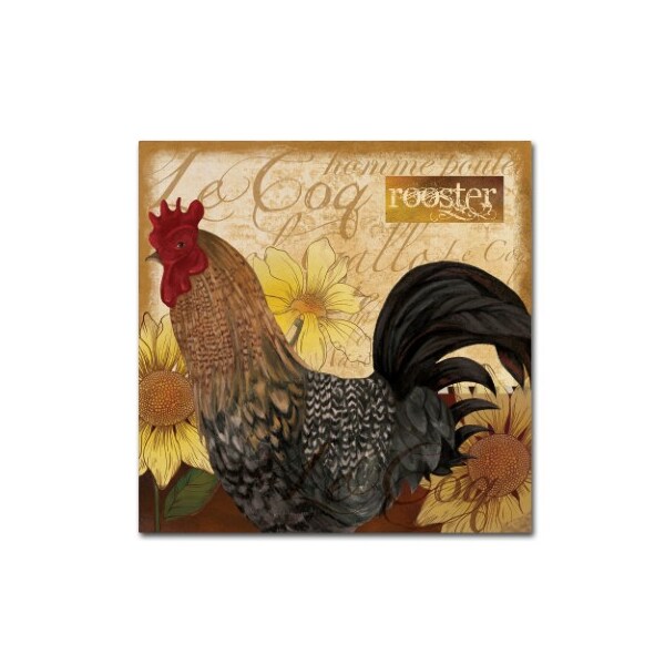 Trademark Fine Art Fiona Stokes-Gilbert 'Rooster' Canvas Art, 14x14 - ALI13608-C1414GG