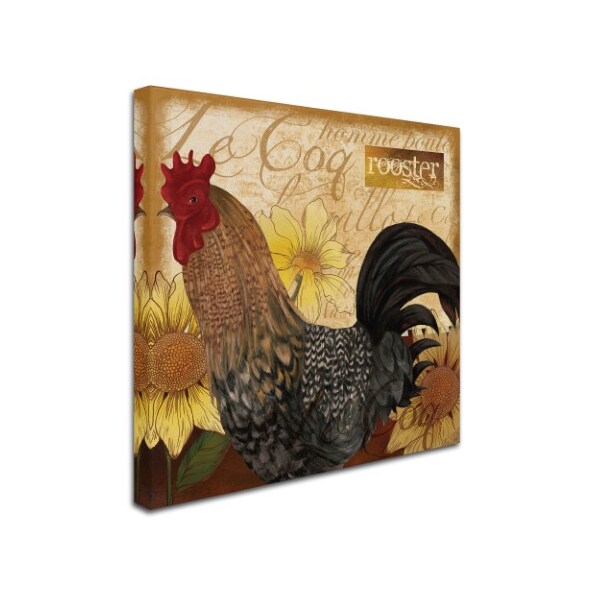 Trademark Fine Art Fiona Stokes-Gilbert 'Rooster' Canvas Art, 14x14 - ALI13608-C1414GG