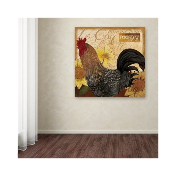 Trademark Fine Art Fiona Stokes-Gilbert 'Rooster' Canvas Art, 14x14 - ALI13608-C1414GG