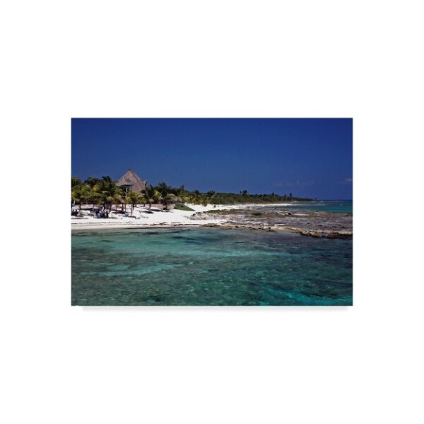Trademark Fine Art J.D. Mcfarlan 'Belize 1' Canvas Art, 22x32 - ALI37134-C2232GG
