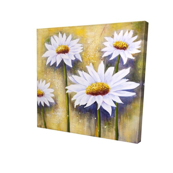 Fondo 16 x 16 in. Daisies At Sun-Print on Canvas - FO2790542