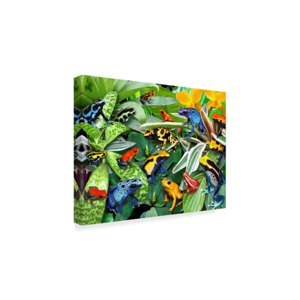 Trademark Fine Art Howard Robinson 'Dart Frogs' Canvas Art, 18x24 - ALI23929-C1824GG