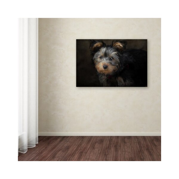 Trademark Fine Art Jai Johnson 'Yorkie Puppy' Canvas Art, 30x47 - ALI14021-C3047GG