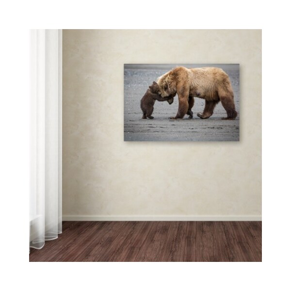 Trademark Fine Art Renee Doyle 'A Little Bear Hug' Canvas Art, 30x47 - 1X01316-C3047GG