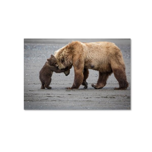 Trademark Fine Art Renee Doyle 'A Little Bear Hug' Canvas Art, 30x47 - 1X01316-C3047GG