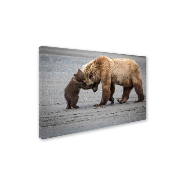 Trademark Fine Art Renee Doyle 'A Little Bear Hug' Canvas Art, 30x47 - 1X01316-C3047GG