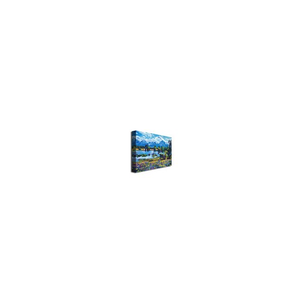 Trademark Fine Art David Lloyd Glover 'Wildflower Valley' Canvas Art, 24x32 - DLG0243-C2432GG