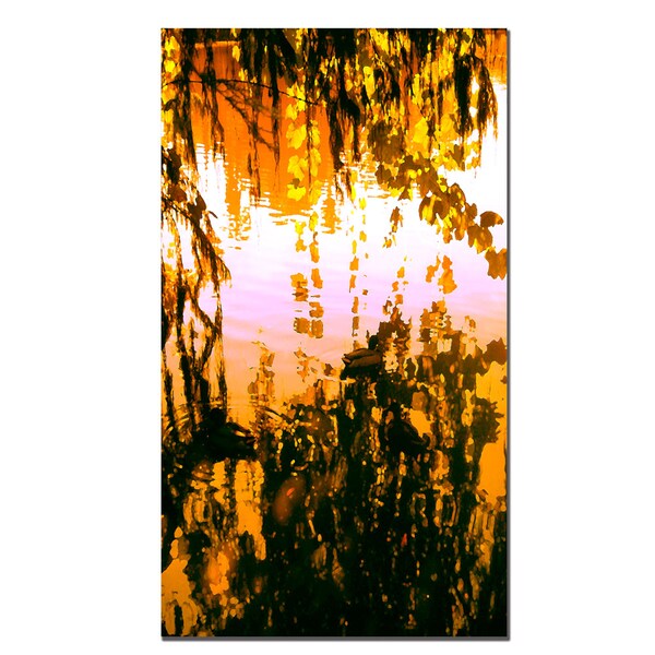 Trademark Fine Art Ducks in Morning Light by Amy Vangsgard- Ready to Hang!, 35x47 - AV014-C3547GG