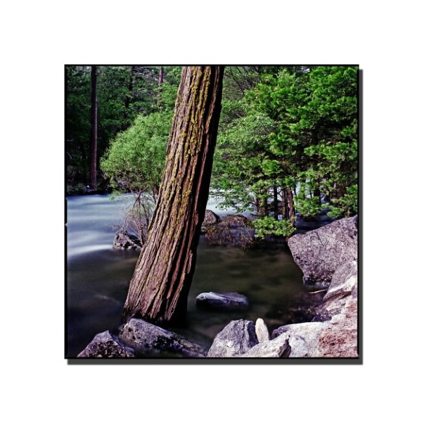Trademark Fine Art Yosemite I by Preston-35x35 Ready to Hang Art, 35x35 - EM047-C3535GG