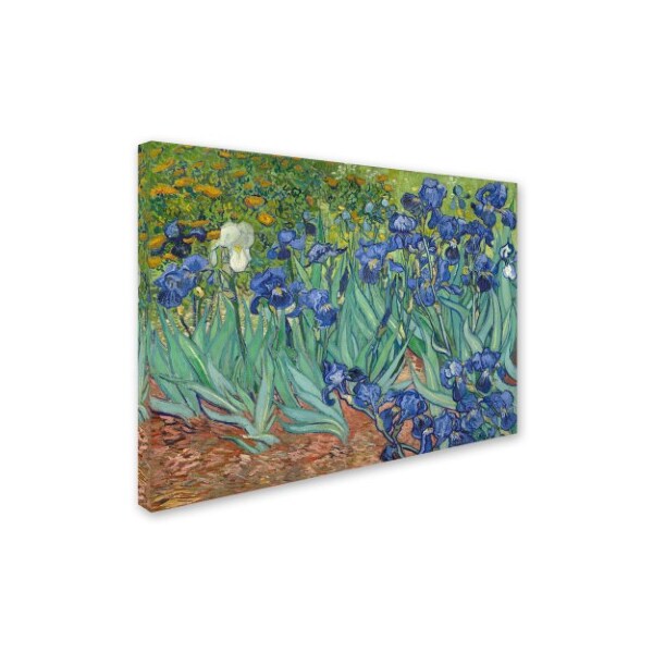 Trademark Fine Art Vincent van Gogh 'Irises, 1889' Canvas Art, 18x24 - BL0317-C1824GG
