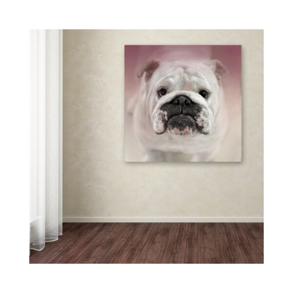 Trademark Fine Art Jai Johnson 'Got Treat Bulldog Puppy' Canvas Art, 14x14 - ALI14421-C1414GG