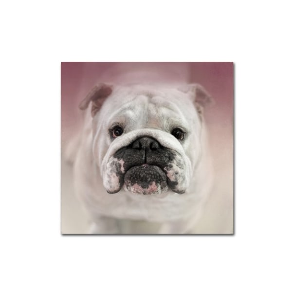 Trademark Fine Art Jai Johnson 'Got Treat Bulldog Puppy' Canvas Art, 14x14 - ALI14421-C1414GG
