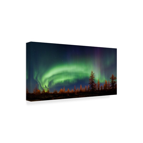 Trademark Fine Art Andrey Snegirev 'Northern Lights Night Sky' Canvas Art, 12x24 - 1X05544-C1224GG