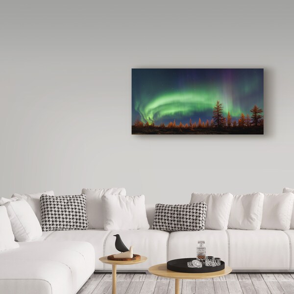 Trademark Fine Art Andrey Snegirev 'Northern Lights Night Sky' Canvas Art, 12x24 - 1X05544-C1224GG