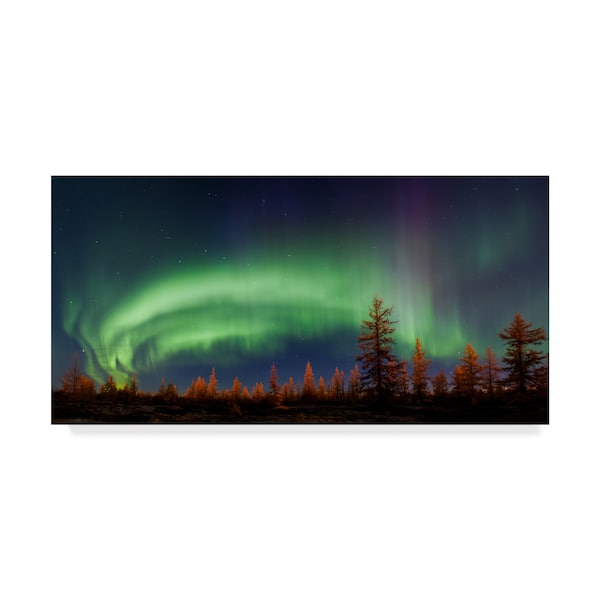 Trademark Fine Art Andrey Snegirev 'Northern Lights Night Sky' Canvas Art, 12x24 - 1X05544-C1224GG