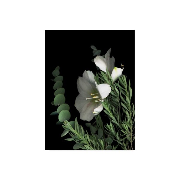Trademark Fine Art Susan S. Barmon 'Amaryllis With Lavender And Eucalyptus' Canvas Art, 18x24 - ALI34475-C1824GG