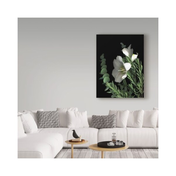 Trademark Fine Art Susan S. Barmon 'Amaryllis With Lavender And Eucalyptus' Canvas Art, 18x24 - ALI34475-C1824GG