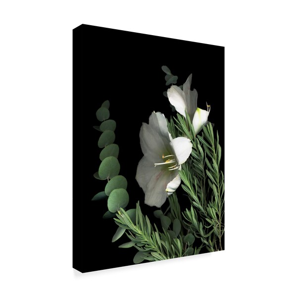 Trademark Fine Art Susan S. Barmon 'Amaryllis With Lavender And Eucalyptus' Canvas Art, 18x24 - ALI34475-C1824GG