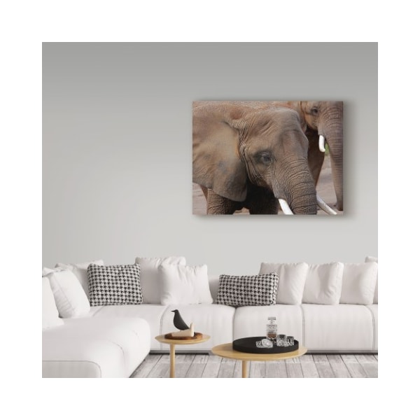 Trademark Fine Art Galloimages Online 'Elephants 2' Canvas Art, 35x47 - ALI34951-C3547GG