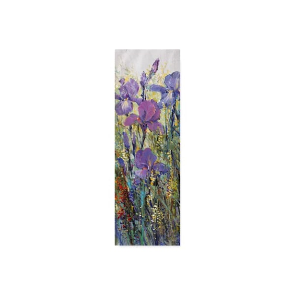 Trademark Fine Art Tim Otoole 'Iris Field I' Canvas Art, 6x19 - WAG02902-C619GG