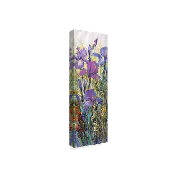 Trademark Fine Art Tim Otoole 'Iris Field I' Canvas Art, 6x19 - WAG02902-C619GG