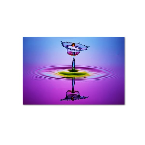 Trademark Fine Art Muhammad Berkati 'Chalice Colors Full' Canvas Art, 22x32 - 1X03121-C2232GG