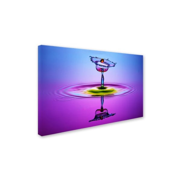 Trademark Fine Art Muhammad Berkati 'Chalice Colors Full' Canvas Art, 22x32 - 1X03121-C2232GG