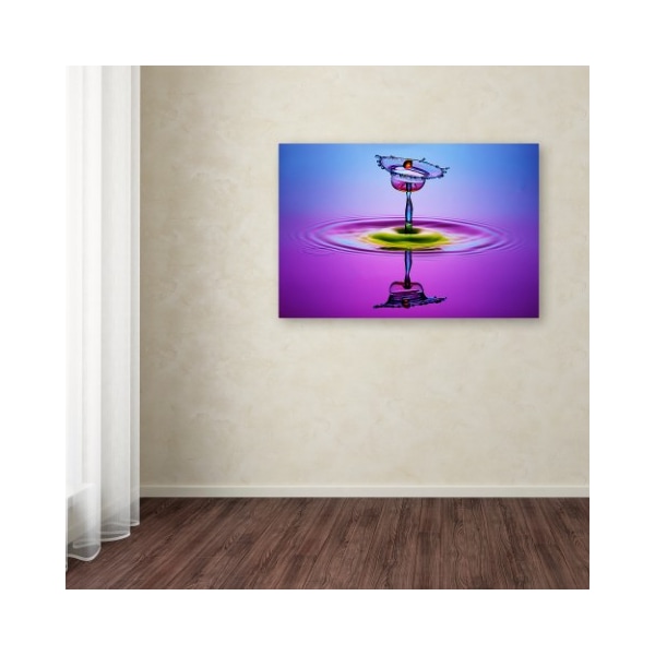 Trademark Fine Art Muhammad Berkati 'Chalice Colors Full' Canvas Art, 22x32 - 1X03121-C2232GG