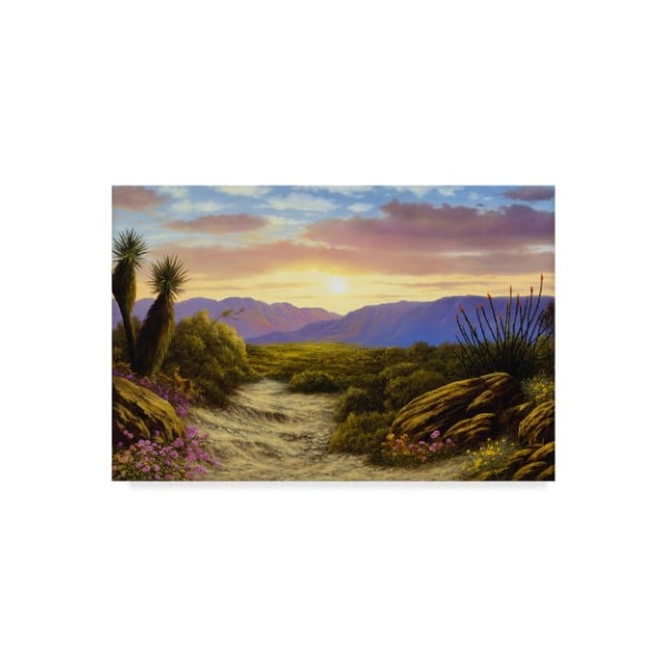 Trademark Fine Art Anthony Casay 'Desert Scene' Canvas Art, 12x19 - ALI20268-C1219GG
