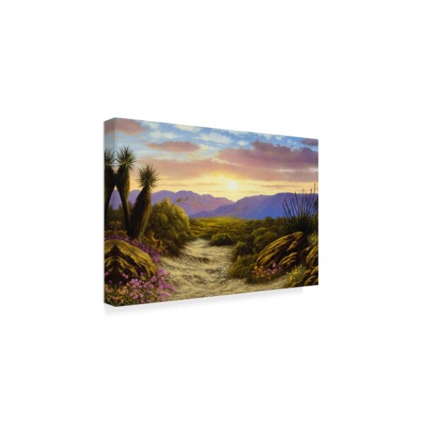 Trademark Fine Art Anthony Casay 'Desert Scene' Canvas Art, 12x19 - ALI20268-C1219GG