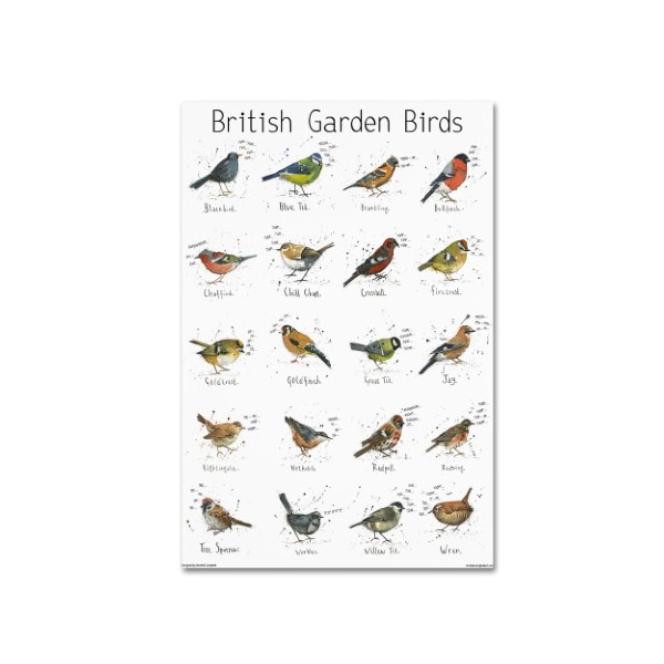 Trademark Fine Art Michelle Campbell 'Garden Bird Print' Canvas Art, 16x24 - ALI10879-C1624GG