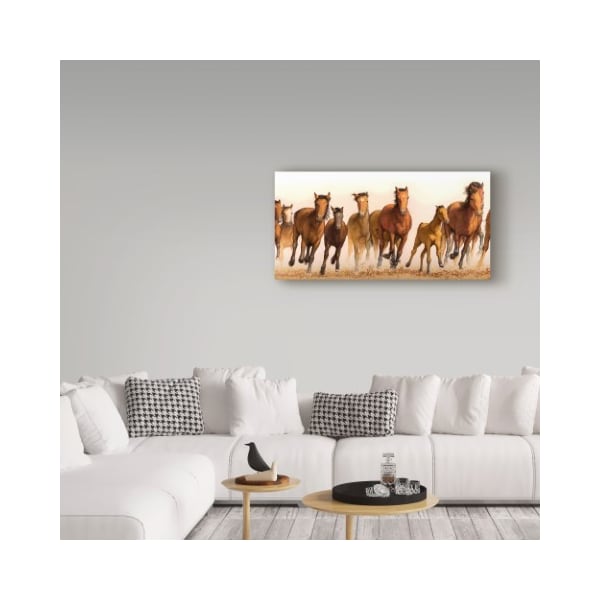Trademark Fine Art James W. Johnson 'Running Horses Group' Canvas Art, 10x19 - ALI36296-C1019GG