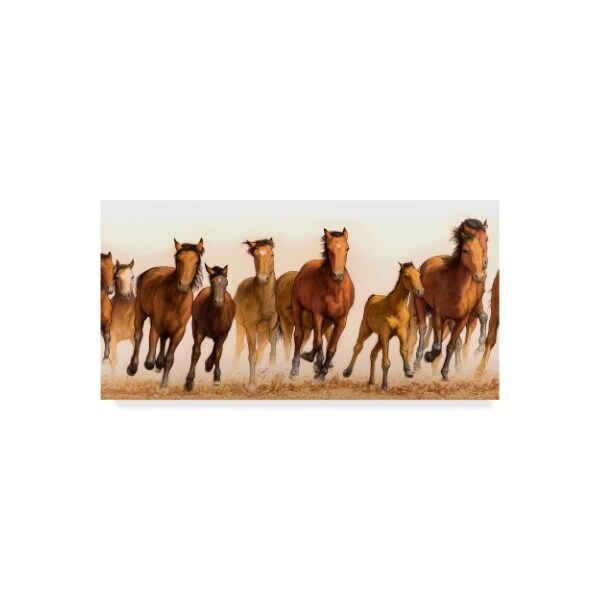 Trademark Fine Art James W. Johnson 'Running Horses Group' Canvas Art, 10x19 - ALI36296-C1019GG